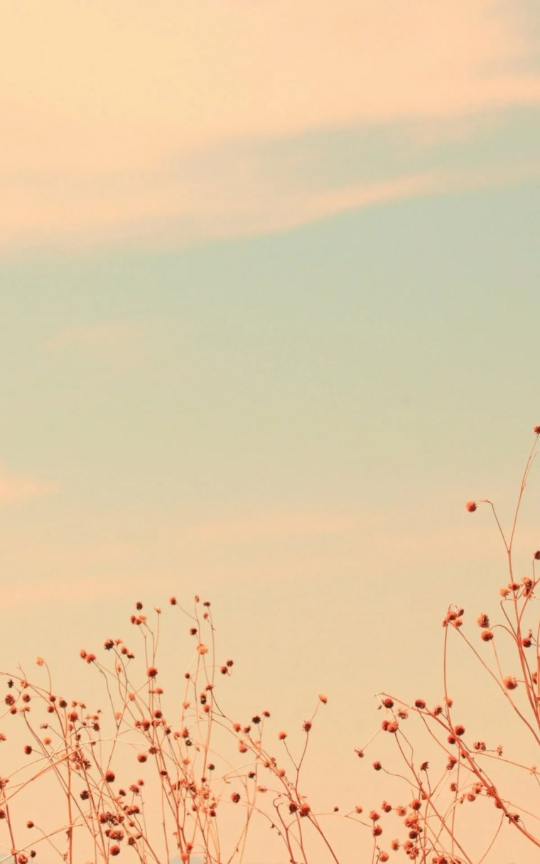 Природа вертикальные