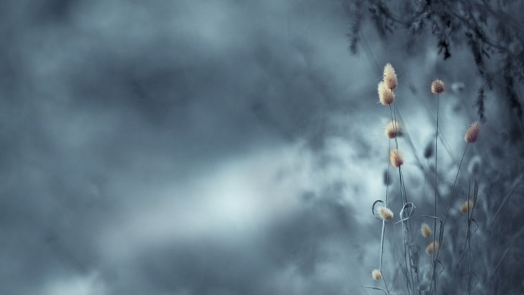 Светлый фон на телефон