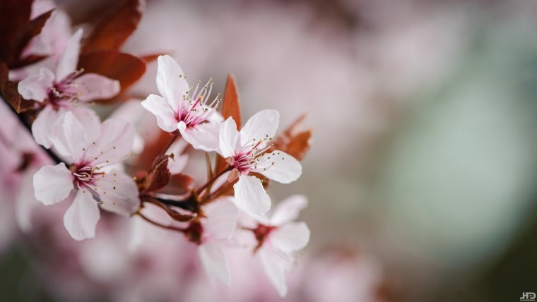 Ледяное море