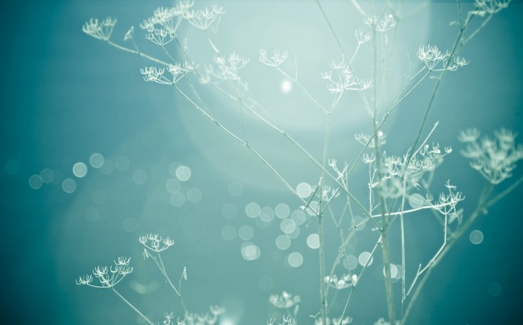 Обои вертикальные