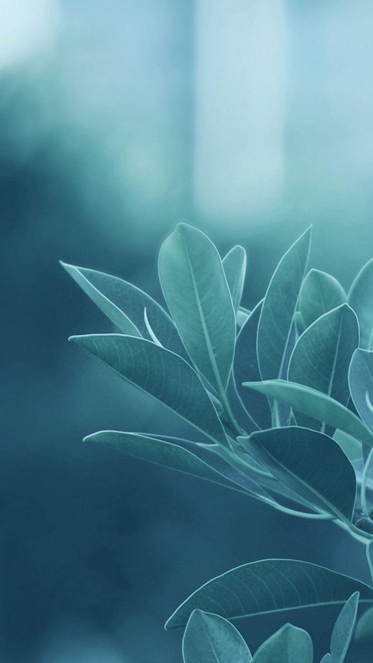 Оригинальные необычные обои