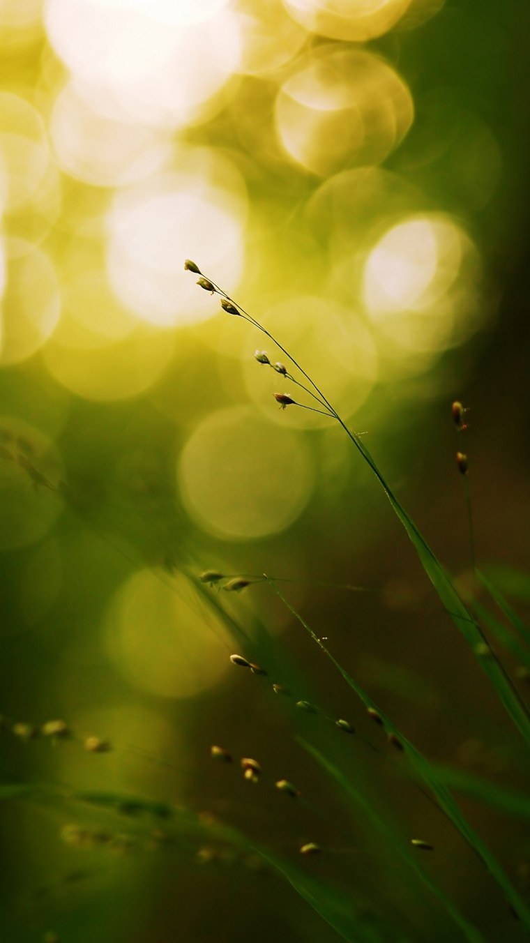 Пейзаж море