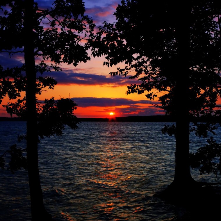 Красивая природа