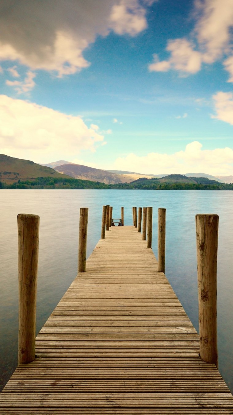 Нежный цветок