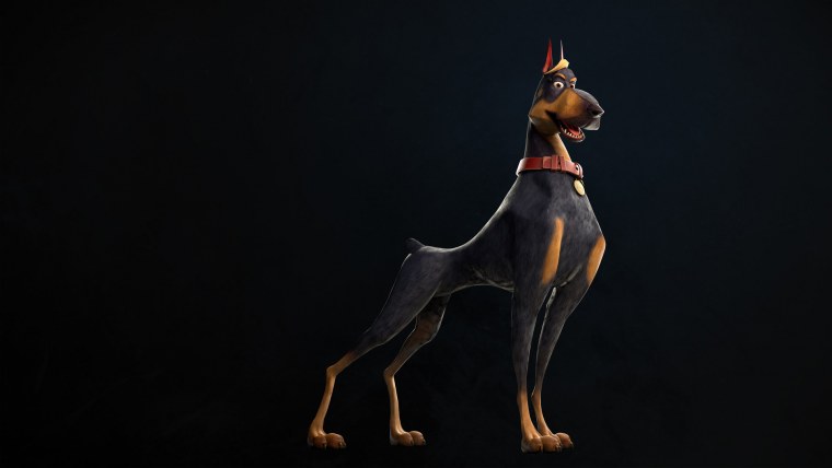 Доберман черно белый