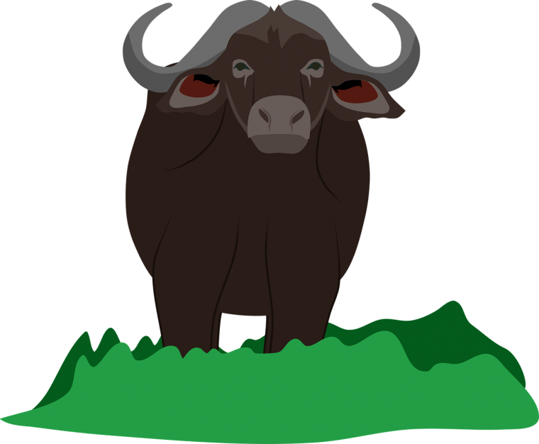 Американский белый Бизон