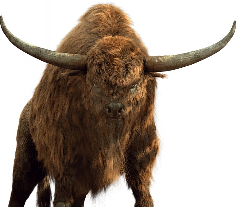 Бизон на прозрачном фоне