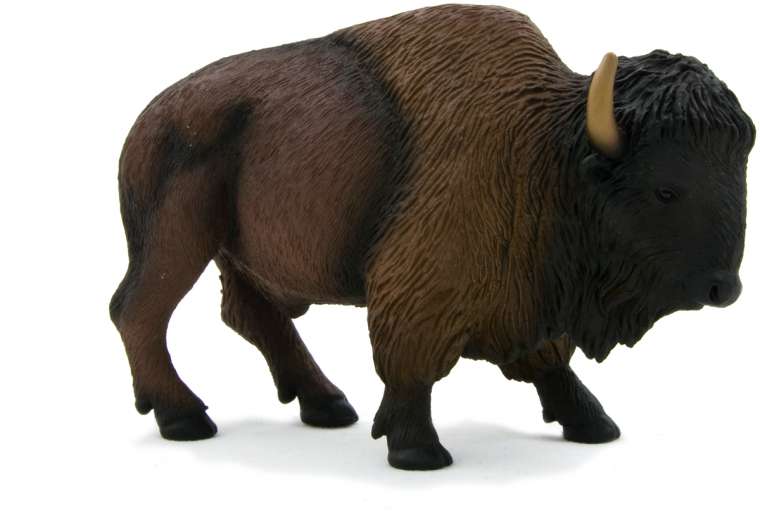 Американский Бизон на белом фоне