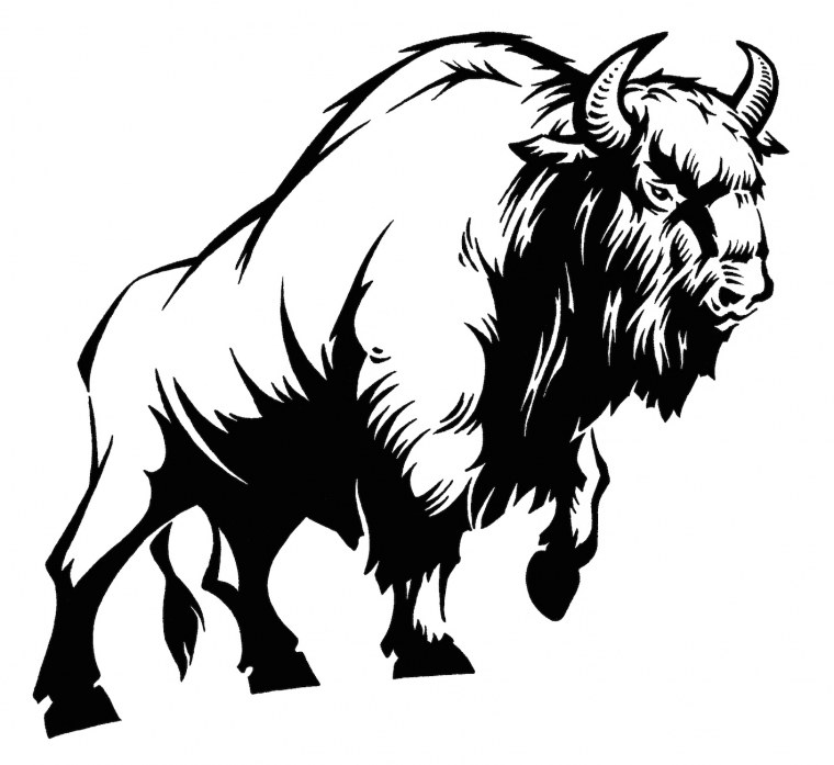 Степной Бизон Bison Priscus