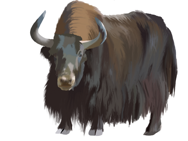 ЗУБР мультяшный