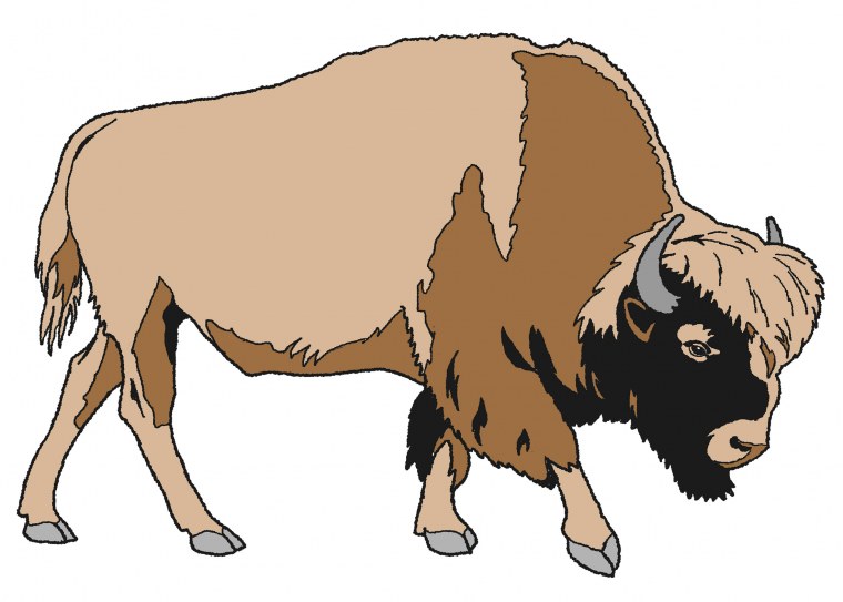 Степной Бизон силуэт