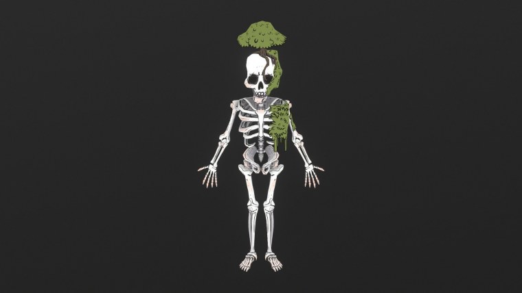 Рентген человека