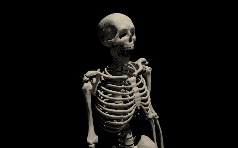 Обои прикольные большие хирургические