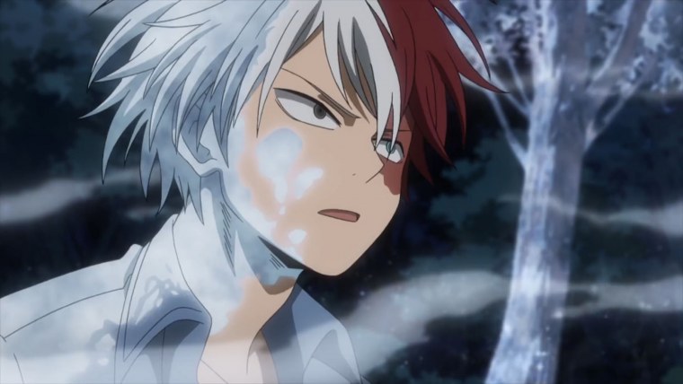 Тодороки Шота