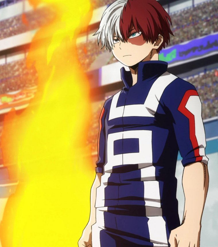 Тодороки шото аниме