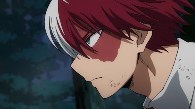 Тодороки скрины