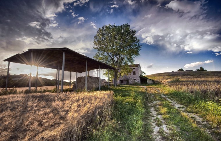 Фермы в Айове