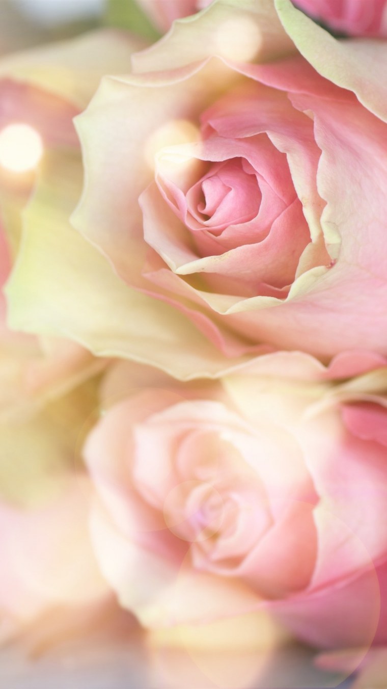 Цветы на улицах Парижа