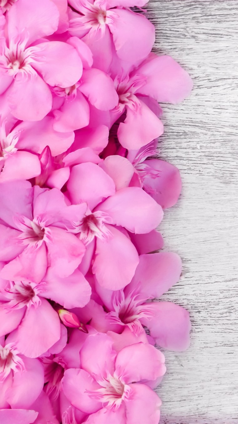 Белые розы на айфон