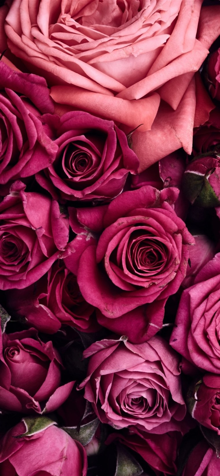 Iphone 11pro Max Reklam