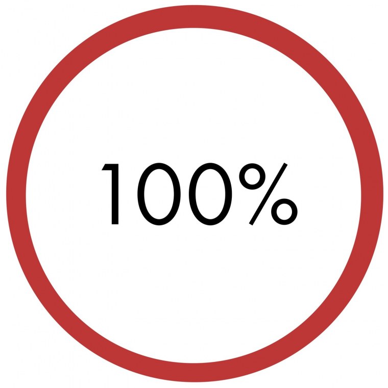 Соточка ЕГЭ