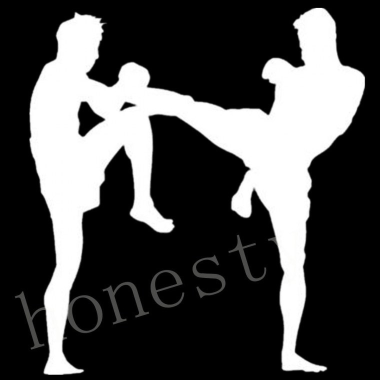 Силуэты бойцов