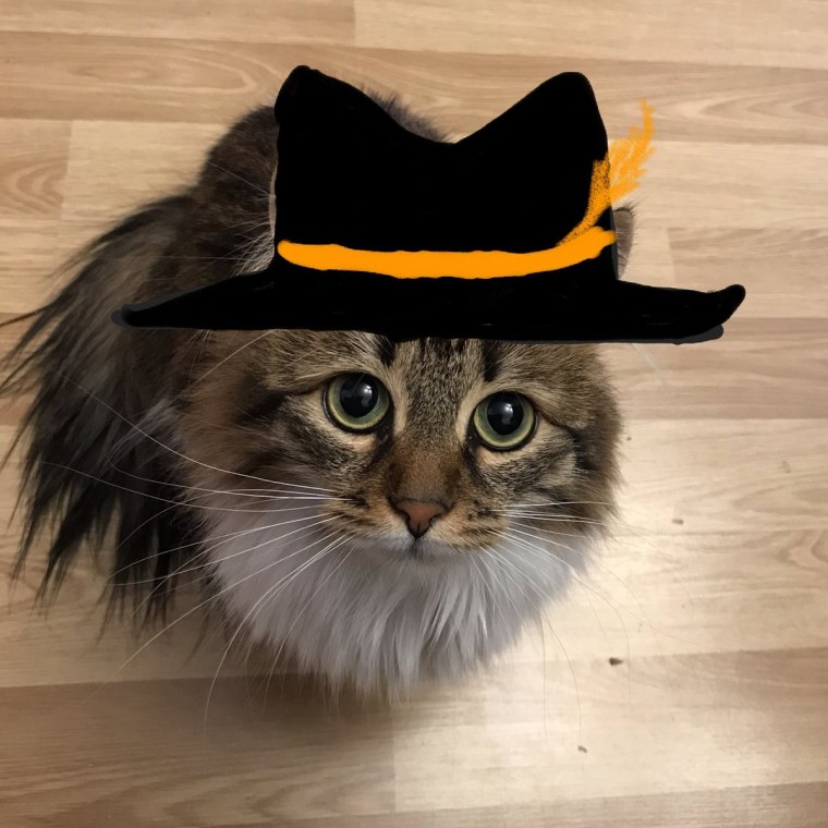 Шлепа Day ruined