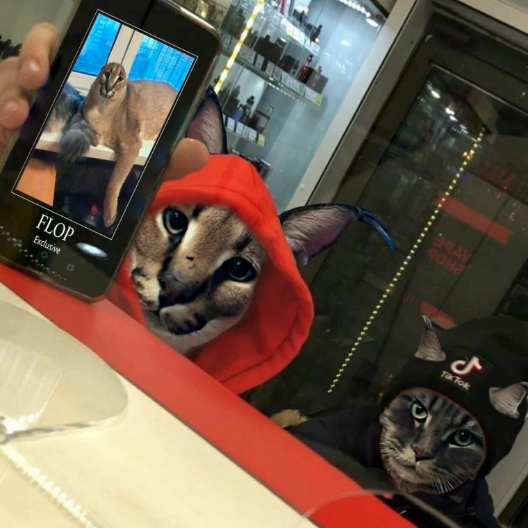 Флоппа Шлеппа