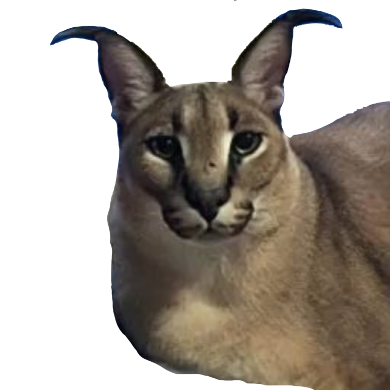 Шлепа кот с пистолетом