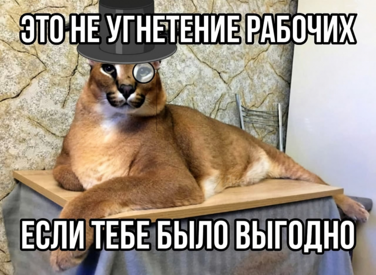 Наркоманские котики