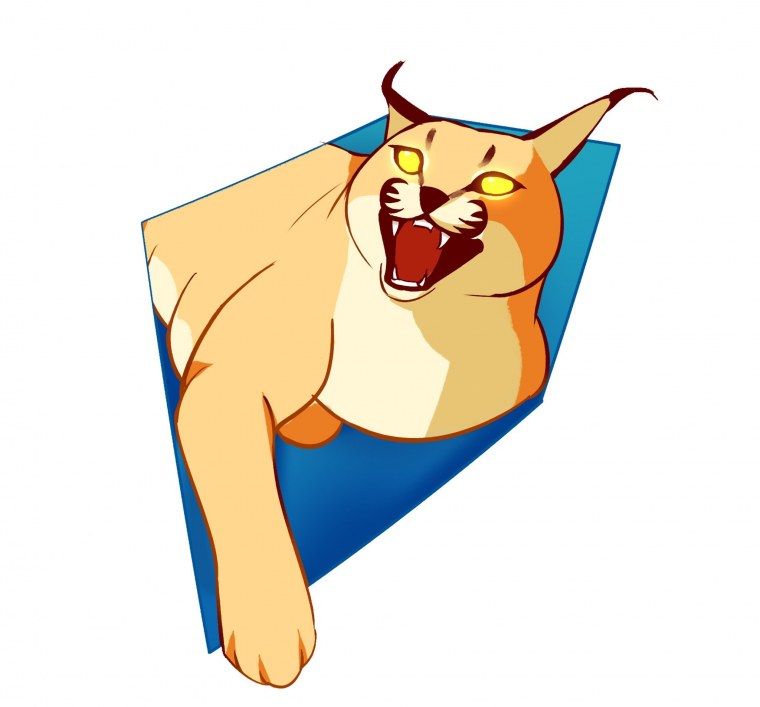 Головной убор для кота