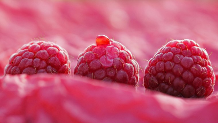 Ежевика малина голубика