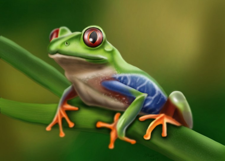 Стиль лягушки