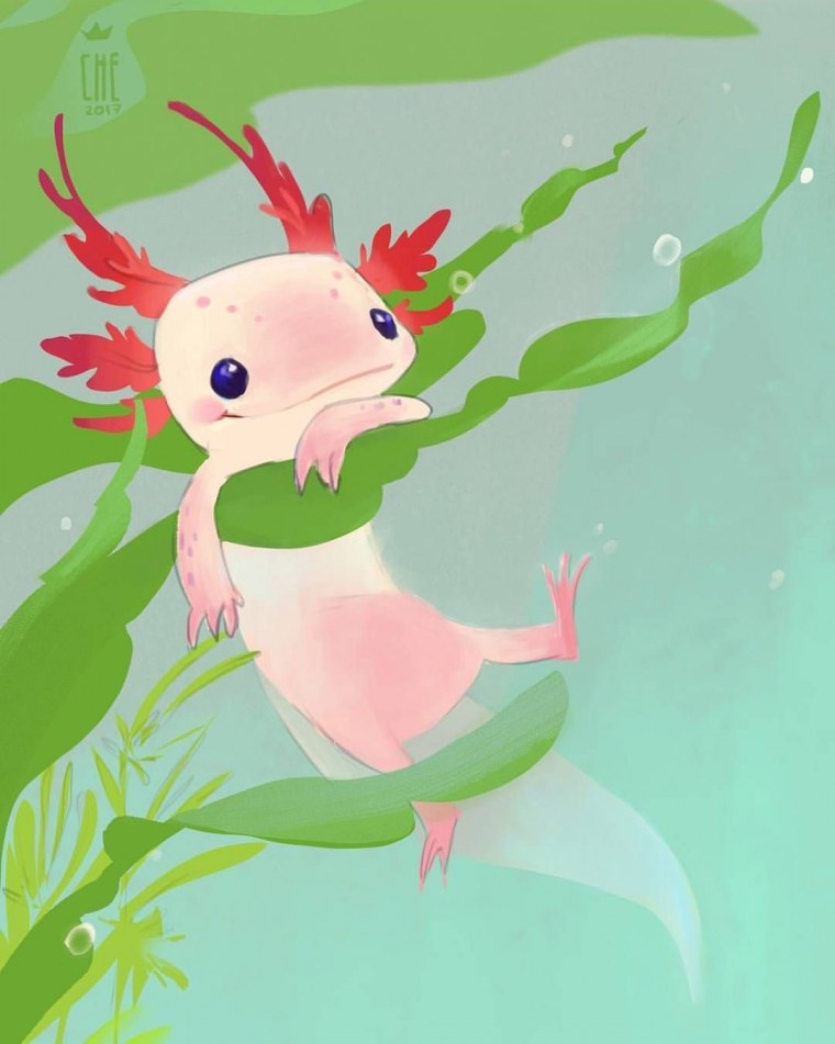 Фон с лягушками милые