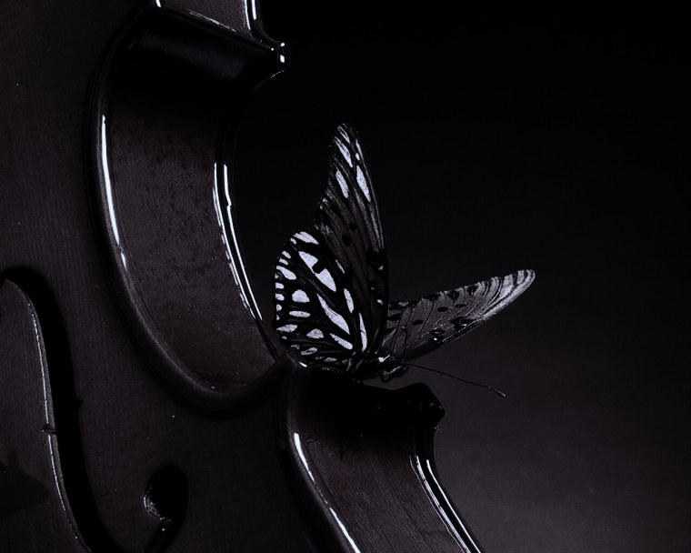 Цитаты на черном фоне