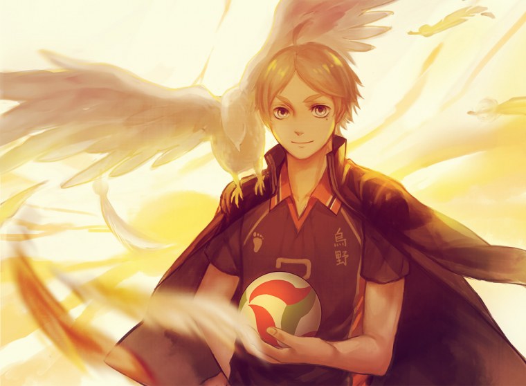 Команда Карасуно персонажи