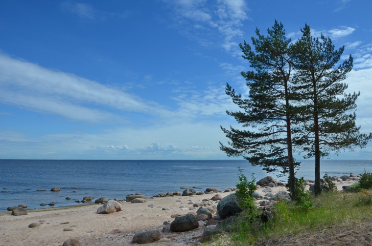 Апрель#финский залив