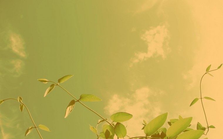 Эстетический коллаж мятный