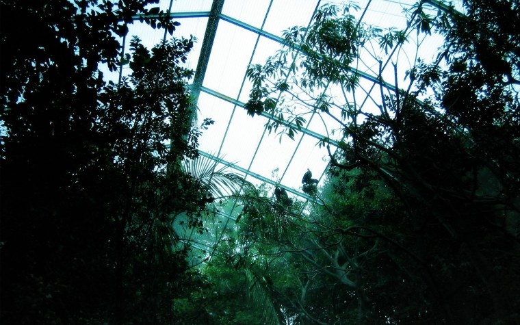 Зеленый лист