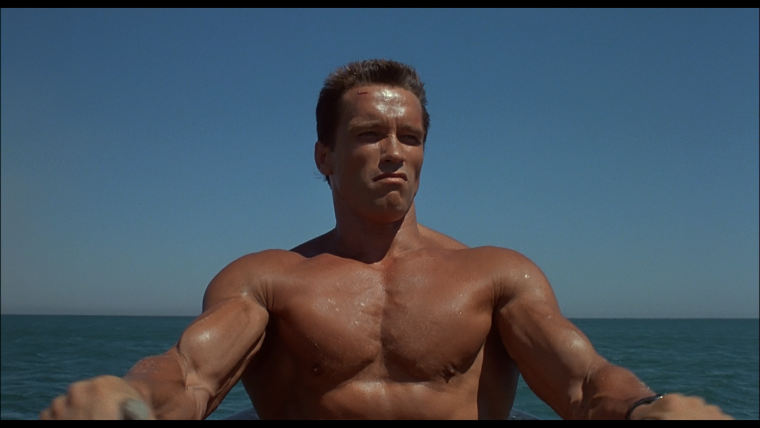 Арнольд Шварценеггер терми