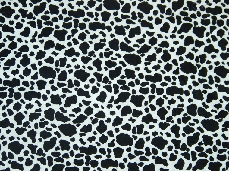 Принт коровы