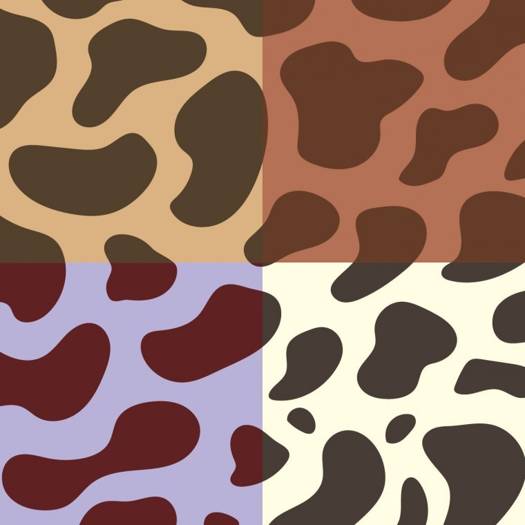 Пятна коровы