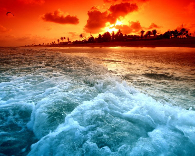 Валли мультфильм 2008