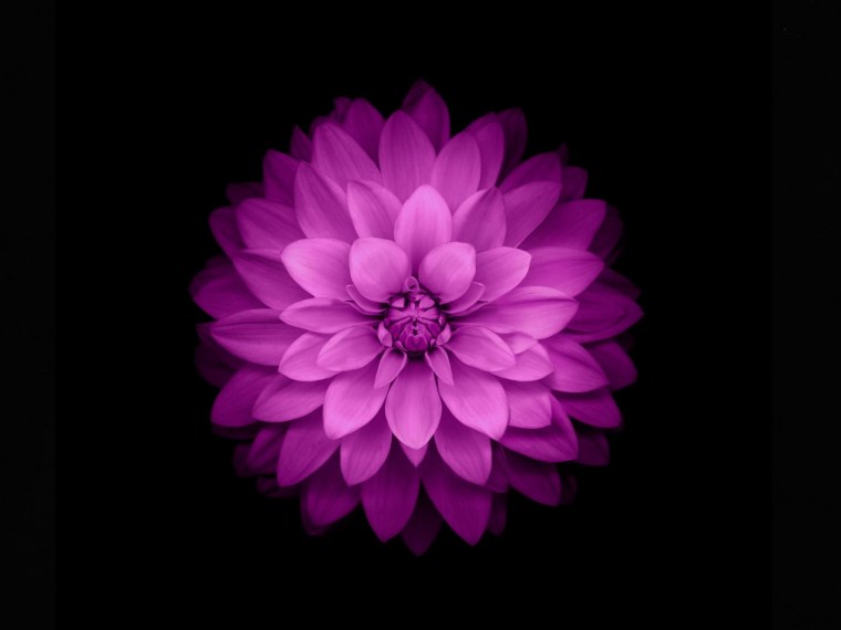 Стоковые обои на рабочий стол