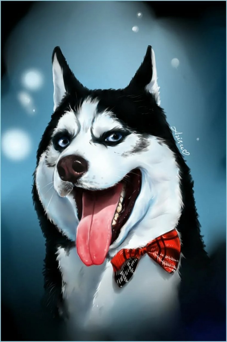 Собака на аву