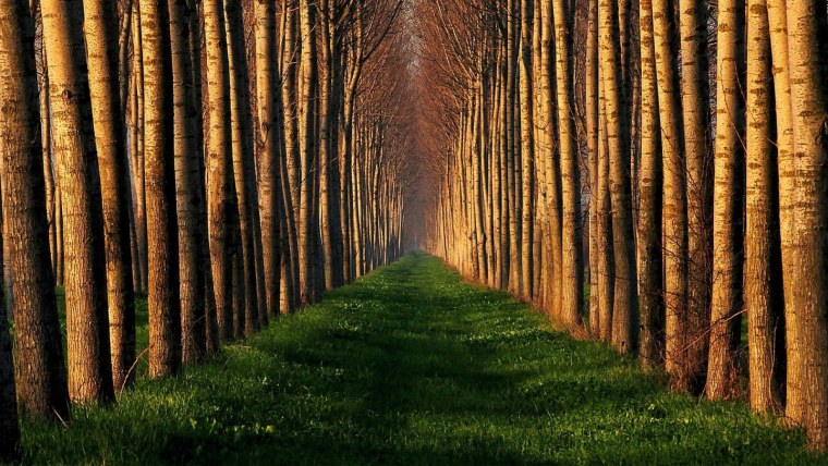 Визитка спа салона