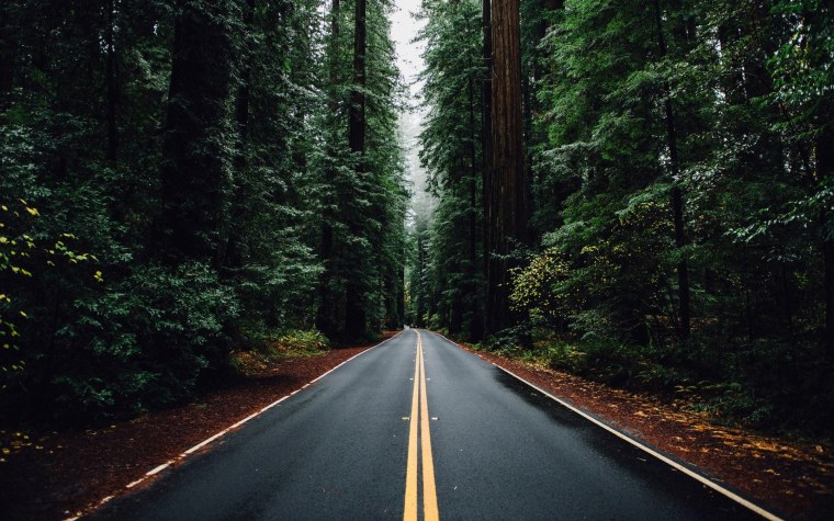 Фон для рабочего стола цветы