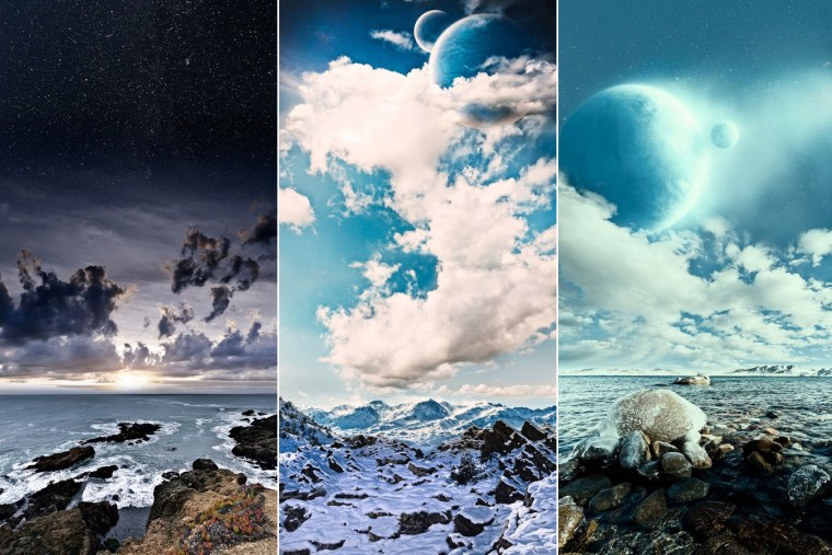 Лес с дорогой