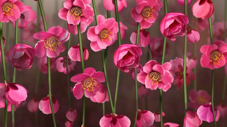 Заставка море