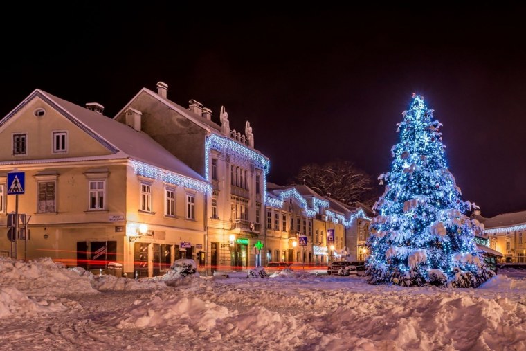 Елка в снегу